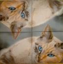 082 Cats - 3-ply - Atelier